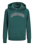 Jack & Jones - Jjecaleb Varsity Sweat Hood Noos Jnr - Kapuutsiga pusad - 164