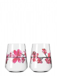 Ritzenhoff - Sommerrausch Waterglass 2-Pack - Joogiklaasid - 50 CL
