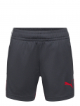 PUMA - Individualliga Training Shorts Jr - Spordi l&uuml;hikesed p&uuml;ksid - 152