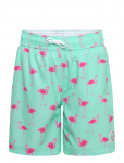Abercrombie Kids - Sm-Swim Short - Ujumisp&uuml;ksid - 128/132