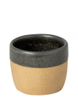 Costa Nova - Arenito Espresso Krus - Espressotassid - ONE SIZE