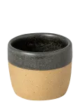Costa Nova - Arenito Espresso Cup - Espressotassid - 7 CL