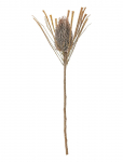 Bloomingville - Palmflower Stem - Kuivatatud ja kunstlilled - H72CM