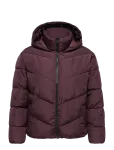 ONLY Carmakoma - Carclair Short Puffer Otw - Polsterdatud jakid - 54