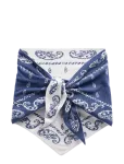 GAP - Paisley Triangle Scarf From The Gap Collection - Talvised sallid - ONE SIZE