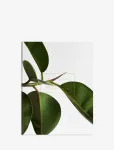 New Mags - Green Home Book - Raamatud - 21.5X 27.5X 1.9CM