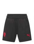 PUMA - Acm Training Shorts W/Pocket Jr - Spordi l&uuml;hikesed p&uuml;ksid - 116