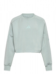 Adidas Sportswear - Jg Fi 3S Crew - Dressipluusid - 152