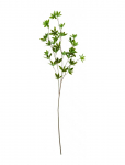 House Doctor - Artificial Branch, Hdjaponica, Gree - Kuivatatud ja kunstlilled - 15X 80CM