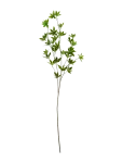 House Doctor - Artificial Branch, Hdjaponica, Gree - Kuivatatud ja kunstlilled - 15X80CM