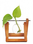 Winkee - Vase - Hydro Vases Lilly - Muud vaasid - H8CM