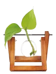 Winkee - Hydro Vases Lilly - Muud vaasid - H8CM