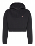 Dickies - Oakport Cropped Hoodie - Kapuutsiga pusad - XL