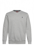 MCS - Skyler Reg Cw Cot Mcs M Sweat - Dressipluusid - XXXL