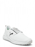 PUMA Golf - Ignite Elevate 2 - Spordi golfijalatsid - 44.5