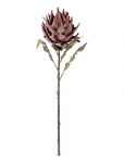 Bloomingville - Protea Stem - Kuivatatud ja kunstlilled - H76CM