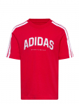 Adidas Sportswear - J C Colleg Tee - L&uuml;hikeste varrukatega - 164