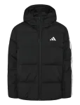 Adidas Sportswear - W Ess 3S P D Ho - Spordi polsterdatud jakid - XXL