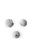 Cooee Design - Sculpture The Genesis Shells Coal - Portselankujud ja skulptuurid - H:4CM