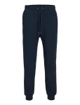 Jack & Jones - Jpstgordon Bradley Sweat Pant Noos - Dressip&uuml;ksid - XXL