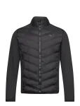 Calvin Klein Golf - Frontera Hybrid Jacket - Spordijakid - XXL