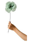 Studio About - Paper Flower, Rosa La Paloma Grande, Mint - Kuivatatud ja kunstlilled - 12X45CM