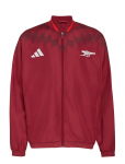 Adidas Performance - Arsenal F.c. St Tt - Spordi treeningjakid - L