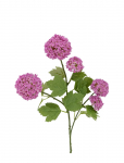 Bloomingville - Snowball Stem - Kuivatatud ja kunstlilled - H73CM