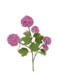 Bloomingville - Snowball Stem - Kuivatatud ja kunstlilled - H73CM