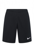 Nike - Nike Dri-Fit Park 26 Short - Spordi l&uuml;hikesed treeningp&uuml;ksid - S