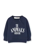 THE ANIMALS OBSERVATORY - Jackal Baby Sweatshirt - Dressipluusid - 74/80