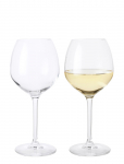 Rosendahl - Premium Hvidvinsglas 54 Cl Klar 2 Stk. - Valge veini klaasid - 54 CL