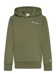 Champion - Hooded Sweatshirt - Kapuutsiga pusad - 164