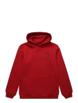 Levi's - Po-Pull-Over Hoody - Kapuutsiga pusad - 110