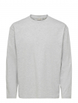 ONLY & SONS - Onsfred Life Rlx Ls Tee Noos - Pikkade varrukatega - S