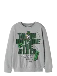 Name It - Nkmjacks Minecraft Nreg Sweat Unb Bfu - Dressipluusid - 146-152
