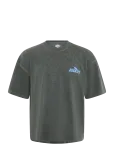 Dickies - Shonto Ss Tee - L&uuml;hikeste varrukatega - S