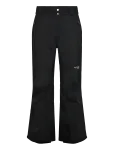 Columbia Sportswear - Platinum Peak Ii 3L Pant - Spordi suusap&uuml;ksid - S