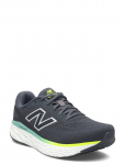 New Balance - New Balance Freshfoam Evoz V4 - Spordi jooksujalatsid - 45.5