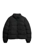 Superdry - Non Hooded Sports Puffer Jkt - Polsterdatud jakid - XL