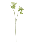 Bloomingville - Fennel Stem - Kuivatatud ja kunstlilled - H66CM