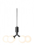 Nuura - Apiales 6 - Rippvalgustid - ONE SIZE