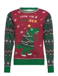 Happy Seasons - The Tree-Rex Sweater Kids - Pulloverid - 80-92