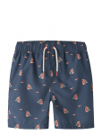 Name It - Nkmzaddi Swim Shorts Box - L&uuml;hikesed p&uuml;ksid - 122