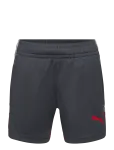 PUMA - Individualliga Training Shorts Jr - Spordi l&uuml;hikesed p&uuml;ksid - 164