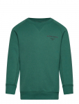 Bj&ouml;rn Borg - Borg Essential 1 Sweatshirt - Dressipluusid - 158-164