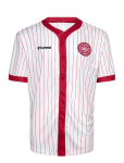 Hummel - Dbu 26 Fan Baseball Jersey - Spordi jalgpallis&auml;rgid - L