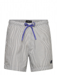 Sail Racing - Tornado Swim Shorts - Spordi ujumisp&uuml;ksid - XL