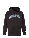Champion - Hooded Sweatshirt - Kapuutsiga pusad - 164