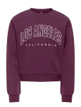 Kids Only - Kogsweat Ls Crew Ovz Stat Swt Noos - Dressipluusid - 158-164